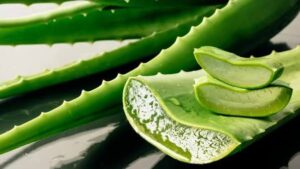 Antioxidants in Aloe Vera