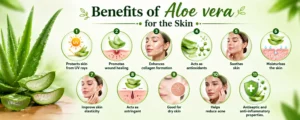 Benefit Of Aloe Vera