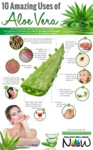 Common Uses of Aloe Vera