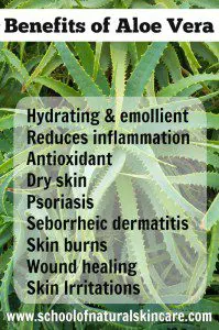 Skin Health Of Aloe Vera