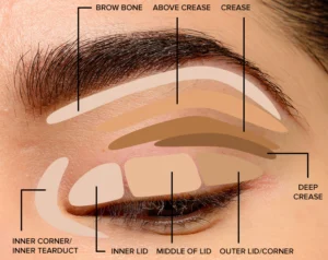 Eyeshadow Guide