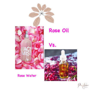 Rose Water vs. Rose Oil