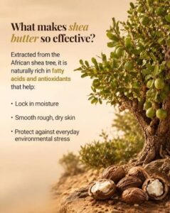 Why Is Shea Butter So Effective?