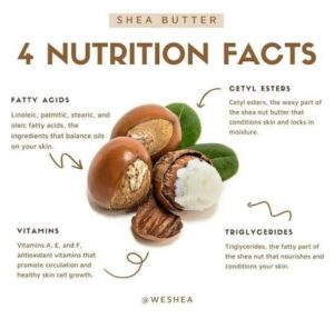 Nutritional Composition of Shea Butter